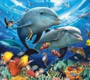 Malowanie po numerach Delfiny, oceanarium 40 x 50 5902444056085 hobby art