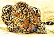 Norimpex Diamentowa mozaika - Leopard 5902444072948